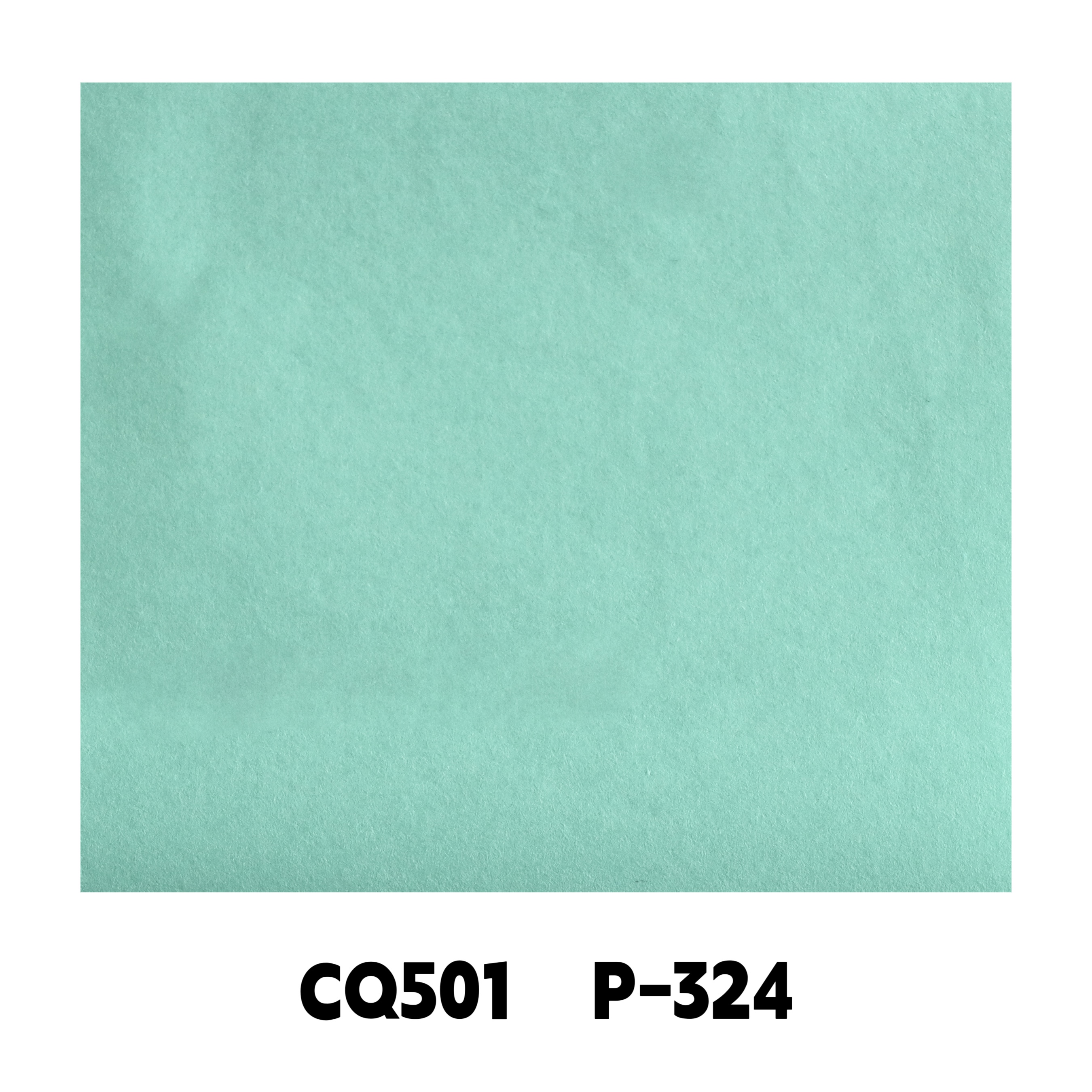 CQ501