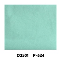 CQ501