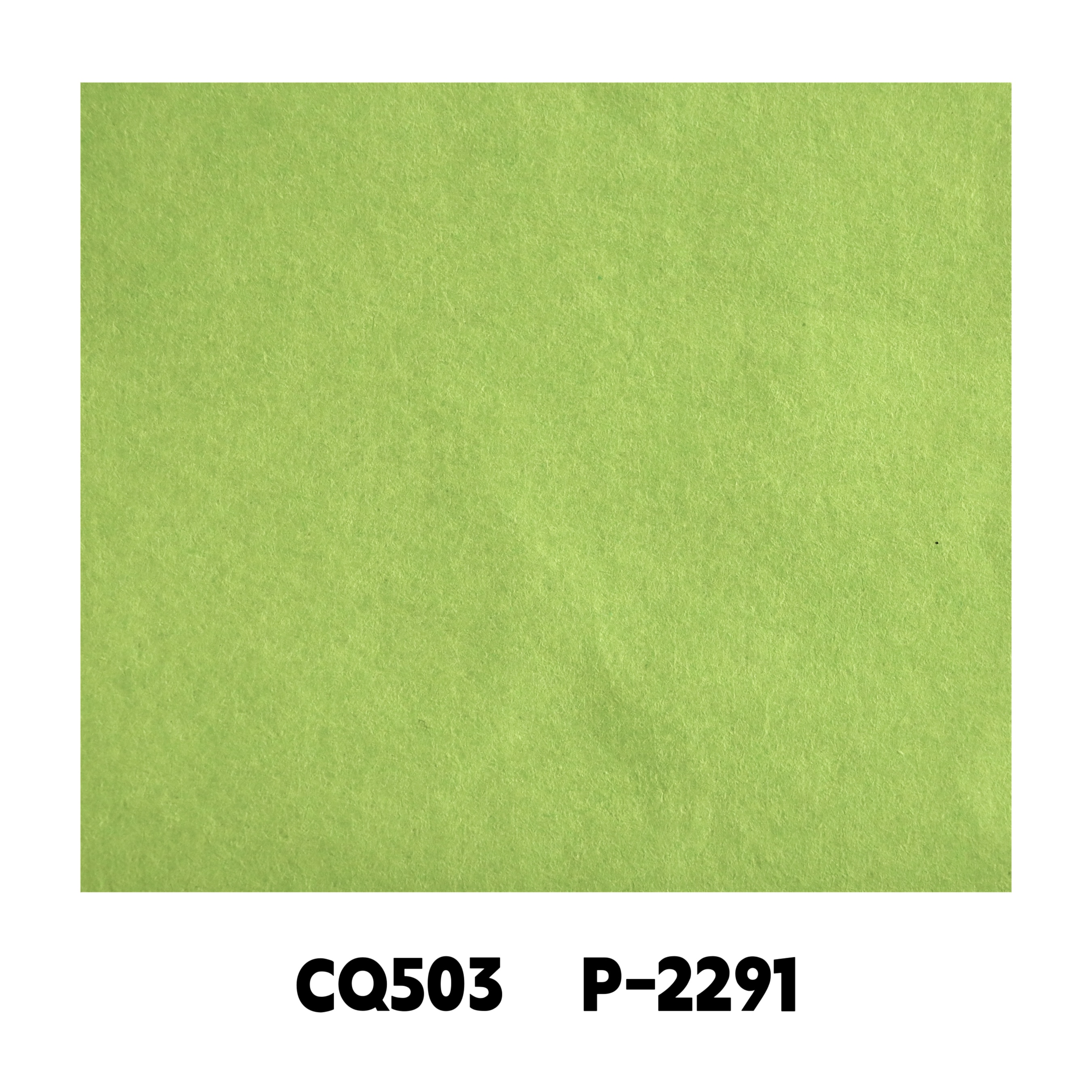 CQ503