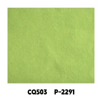 CQ503