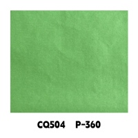 CQ504