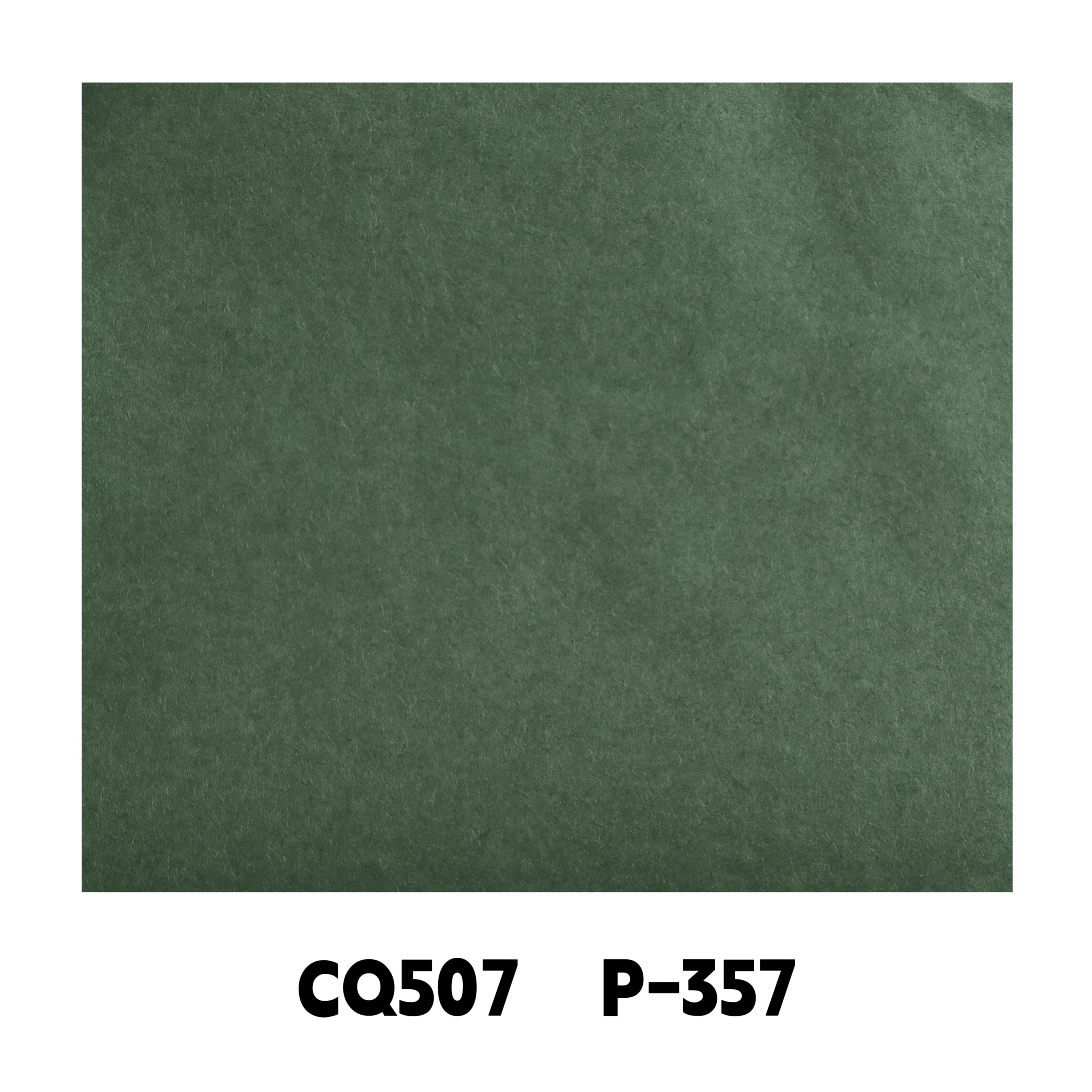 CQ507