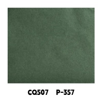 CQ507