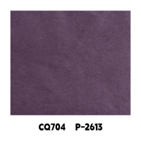 CQ704