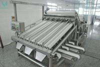 Shrimpgradingmachine-1