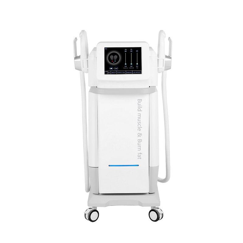 EMS Slimming 2/4 Handles