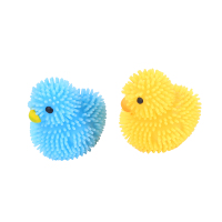 PF1603迷你小鸭-1V6A6549