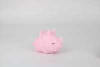 钻石恐龙-IMG_6332