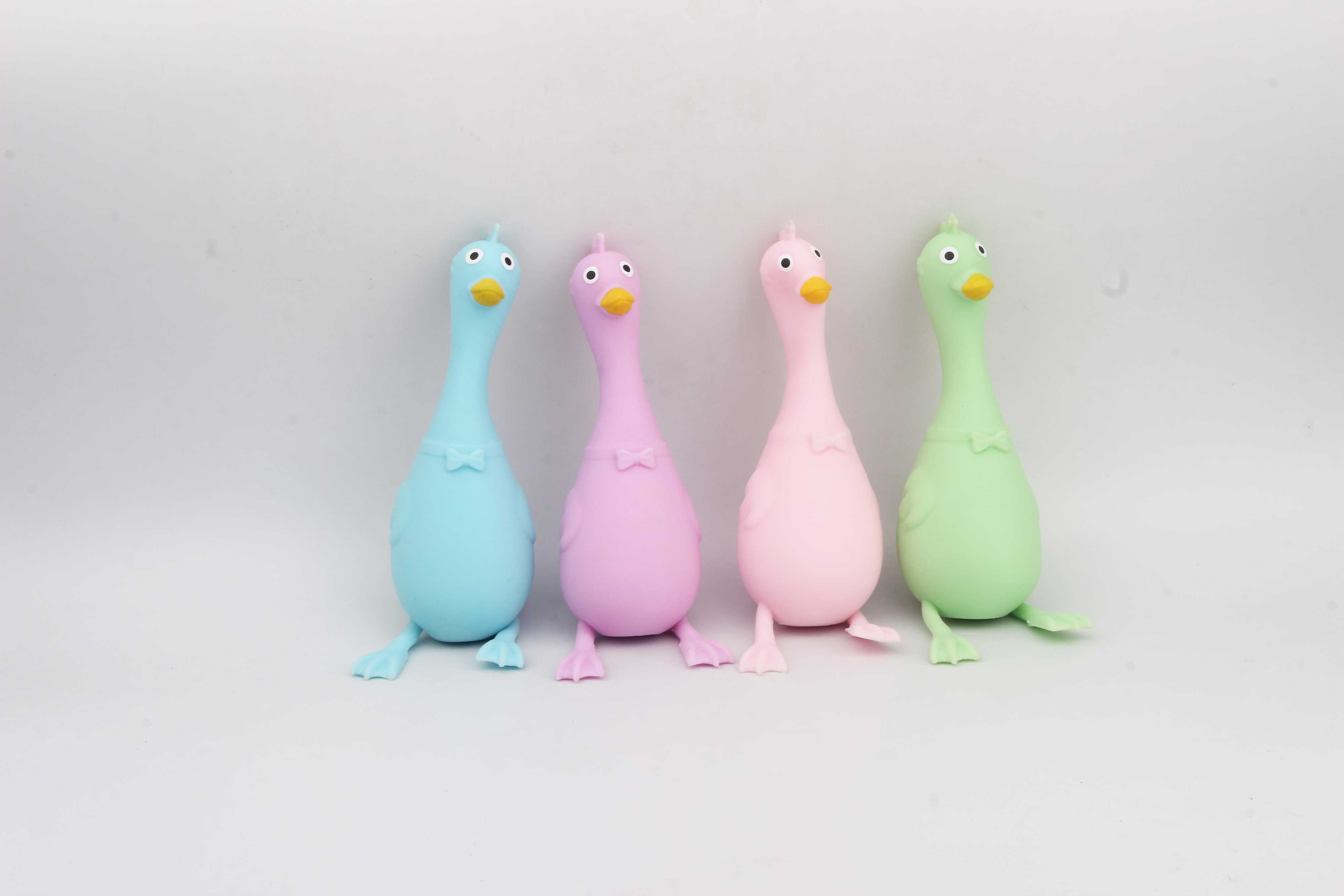 长颈天鹅-IMG_3770