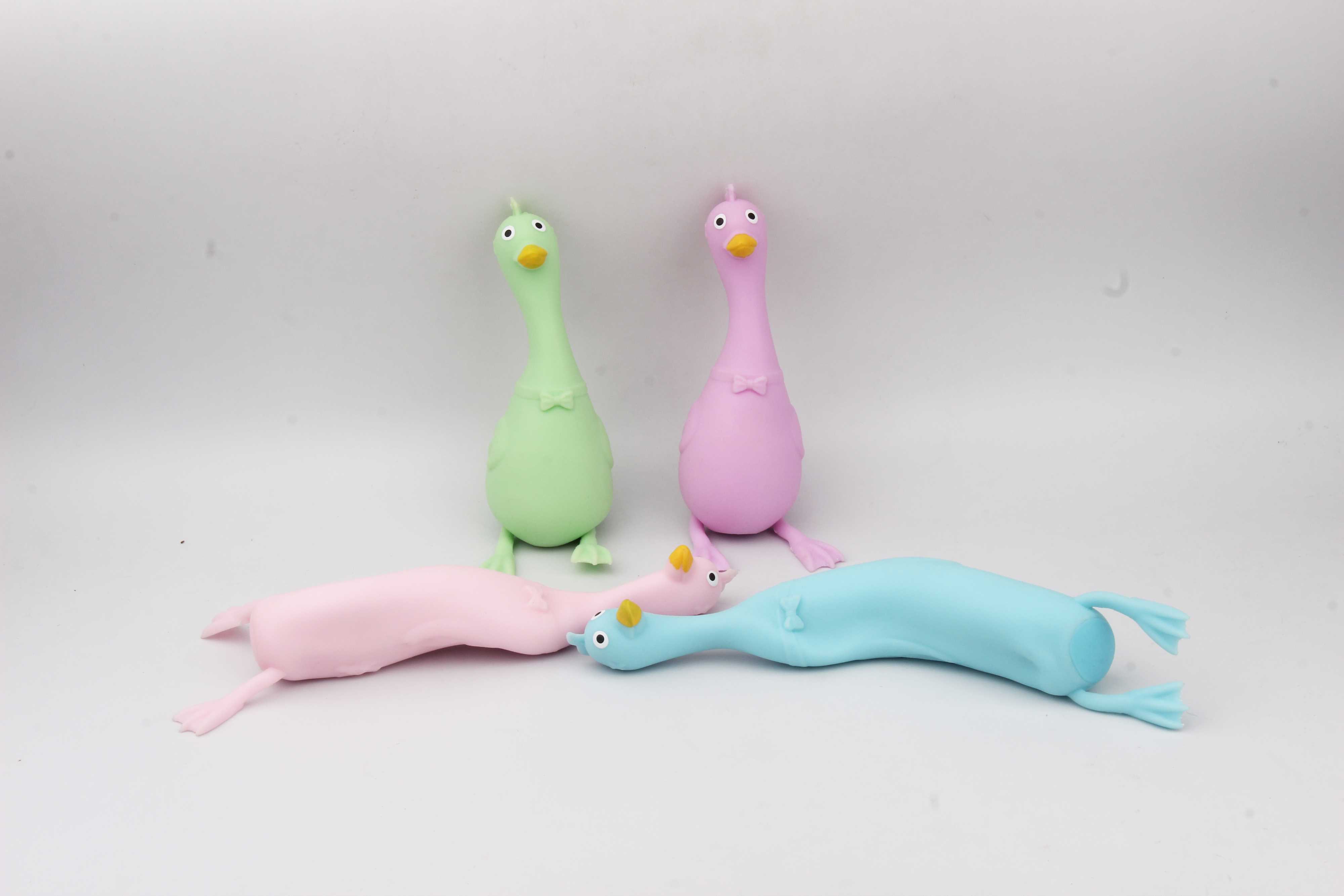 长颈天鹅-IMG_3789