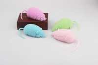 新款老鼠-IMG_3729