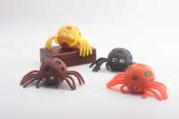 果胶蜘蛛-IMG_4374