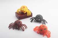 果胶蜘蛛-IMG_4375