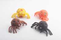 果胶蜘蛛-IMG_4377