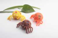 果胶蜘蛛-IMG_4378