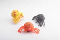 果胶蜘蛛-IMG_4382