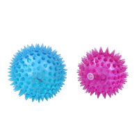 WH1311按摩球-1V6A6881