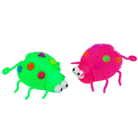 PF1120T，凸眼瓢虫-1V6A8468