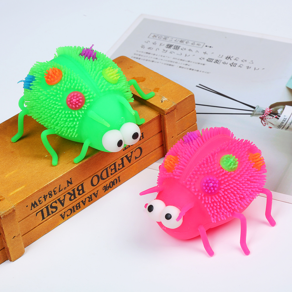 PF1120T，凸眼瓢虫-1V6A8471