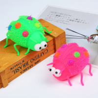 PF1120T，凸眼瓢虫-1V6A8471