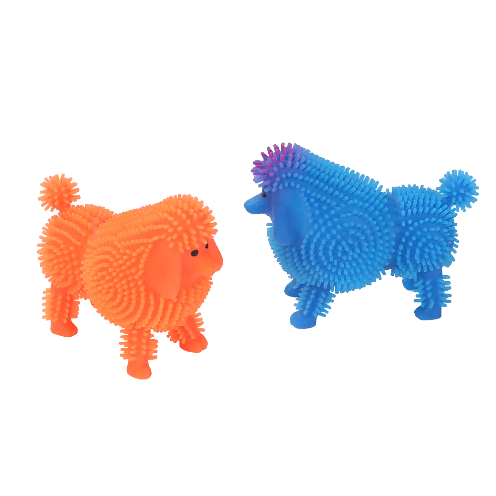 PF1209牧羊犬-1V6A6748