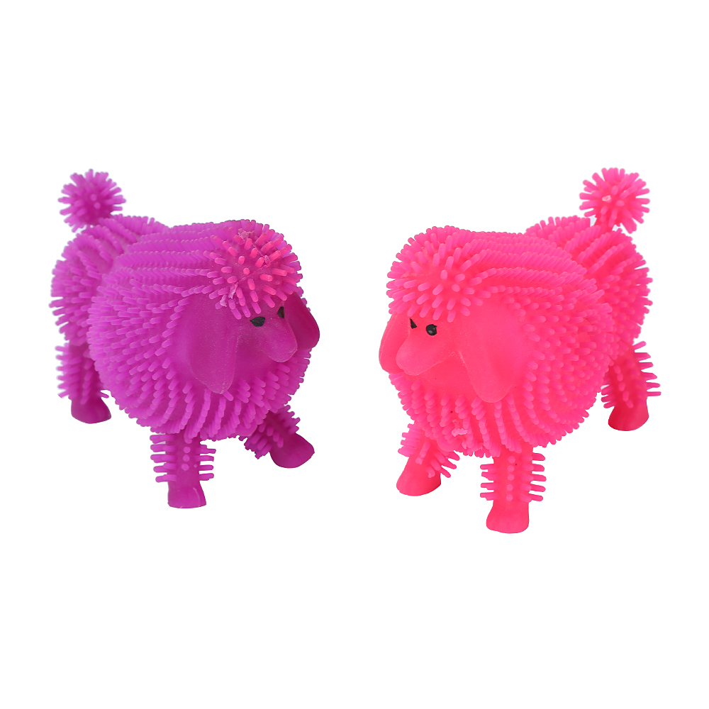 PF1209牧羊犬-1V6A6750