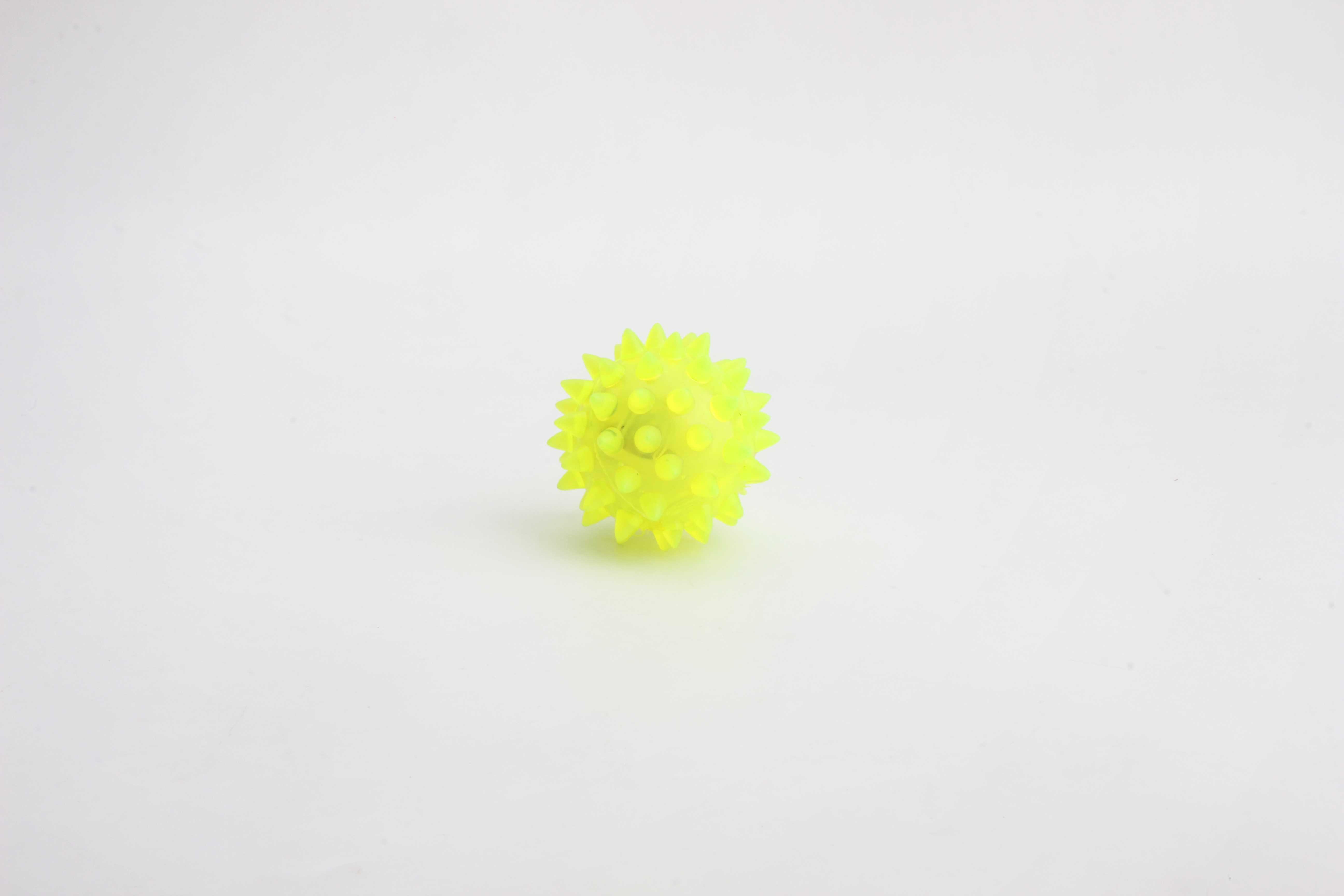 4.5按摩球-IMG_5006