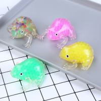 珠子青蛙趴-1V6A6455