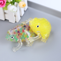 珠子青蛙趴-1V6A6457