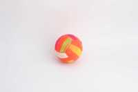 7.5口哨彩虹球-IMG_5284