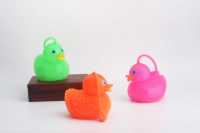 yo口哨鸭子-IMG_5247