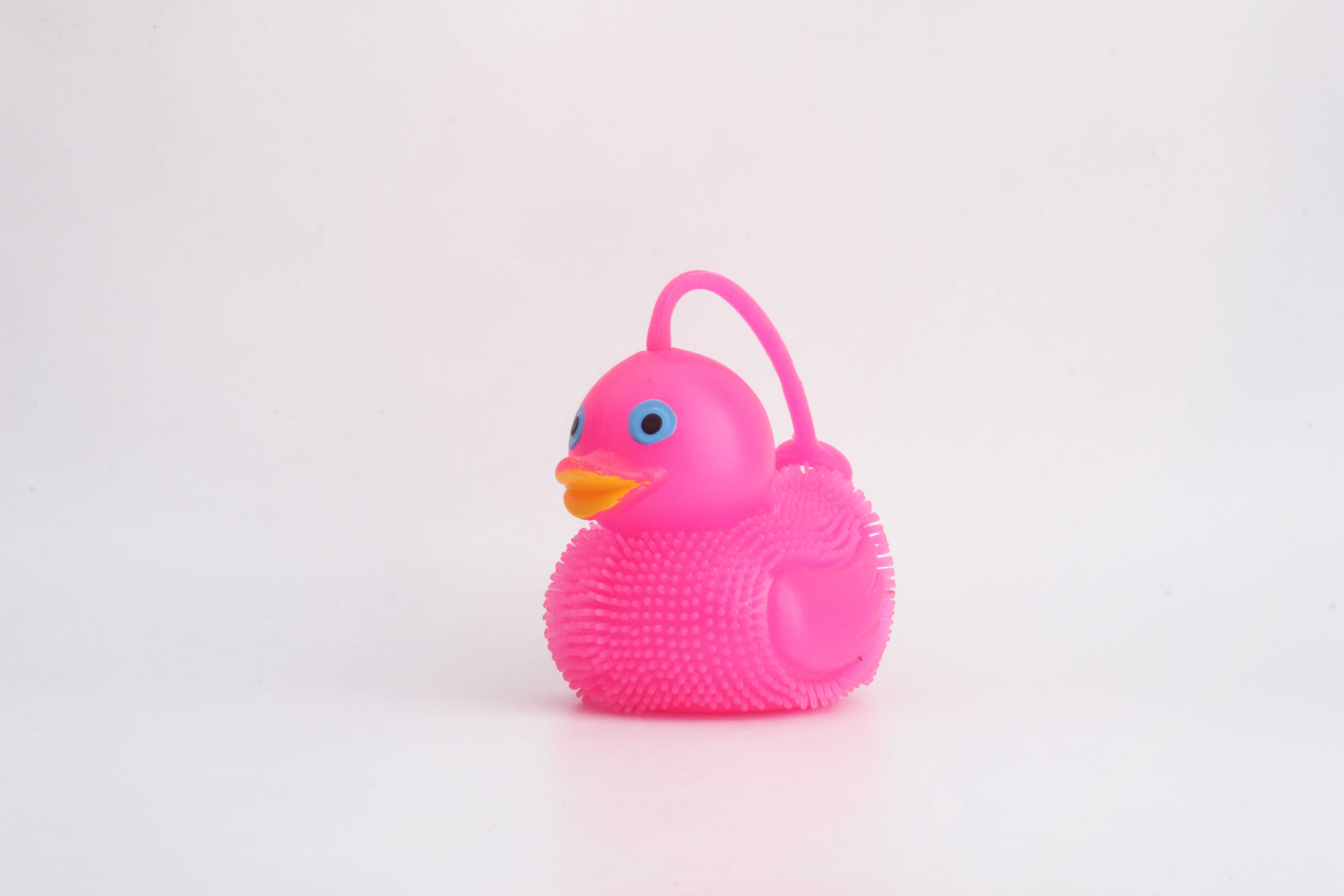 yo口哨鸭子-IMG_5248