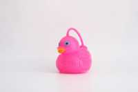 yo口哨鸭子-IMG_5248