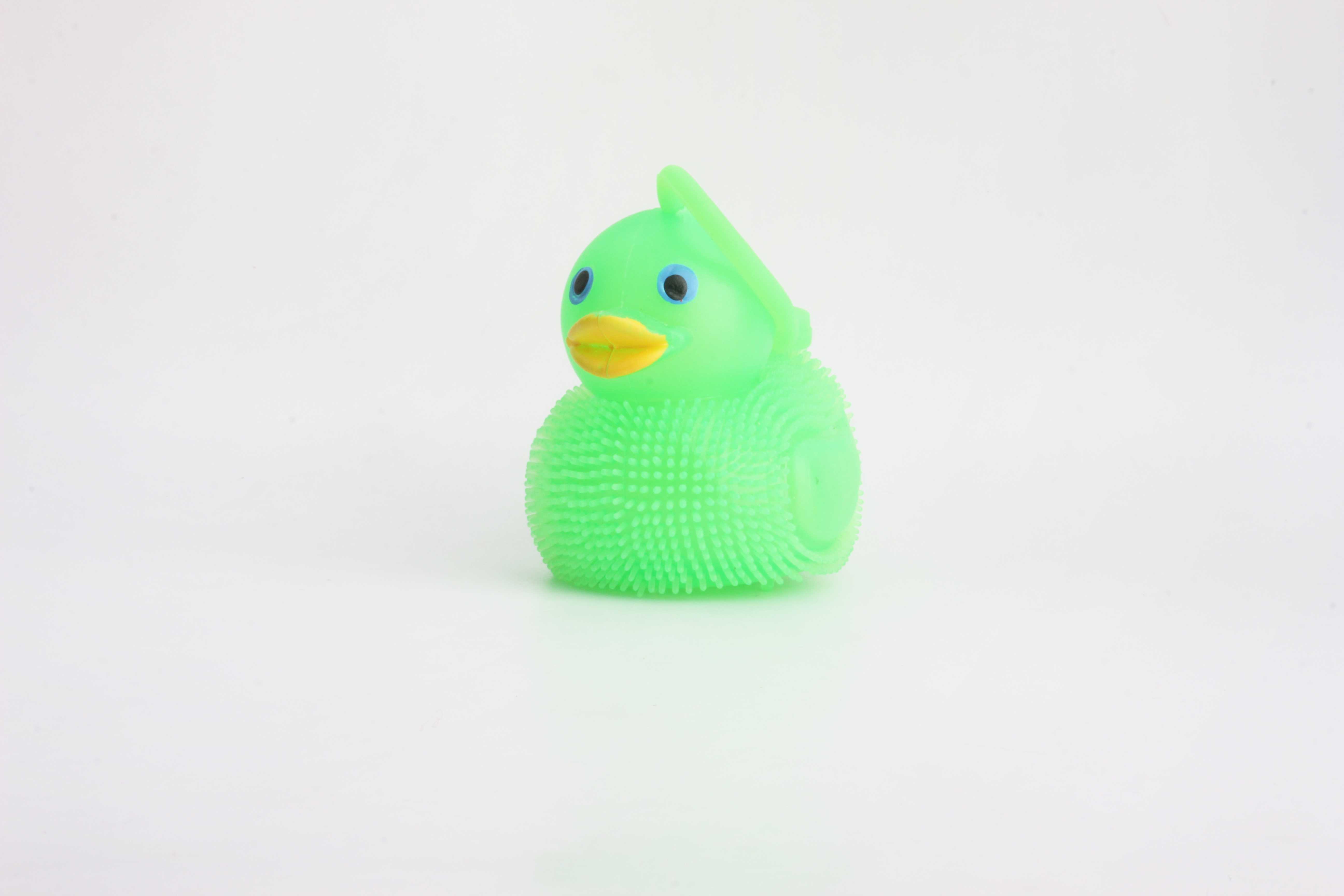 yo口哨鸭子-IMG_5249