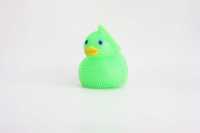 yo口哨鸭子-IMG_5249