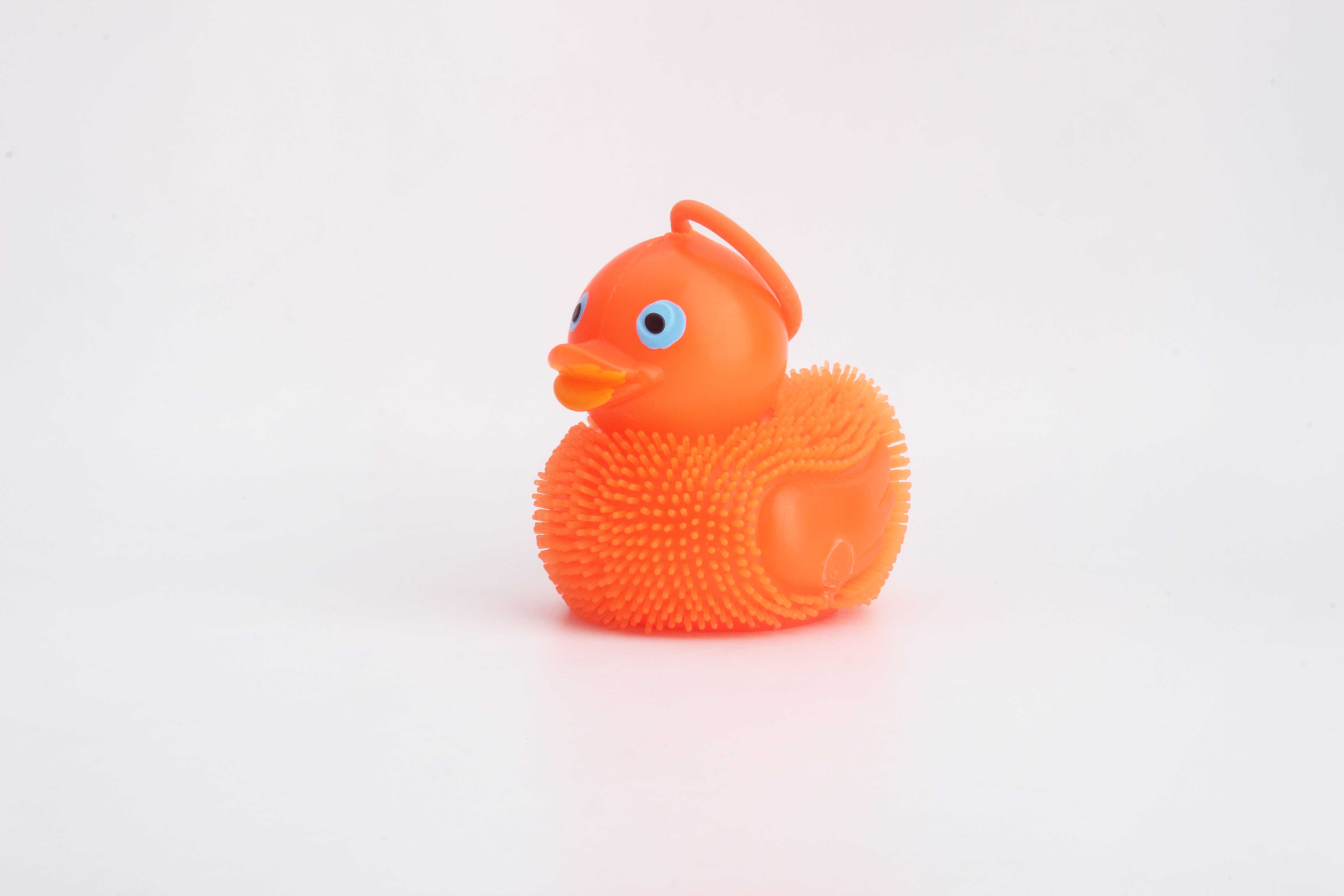 yo口哨鸭子-IMG_5250