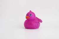 yo口哨鸭子-IMG_5251