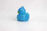 yo口哨鸭子-IMG_5252