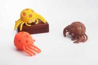 闪光蜘蛛-IMG_5184