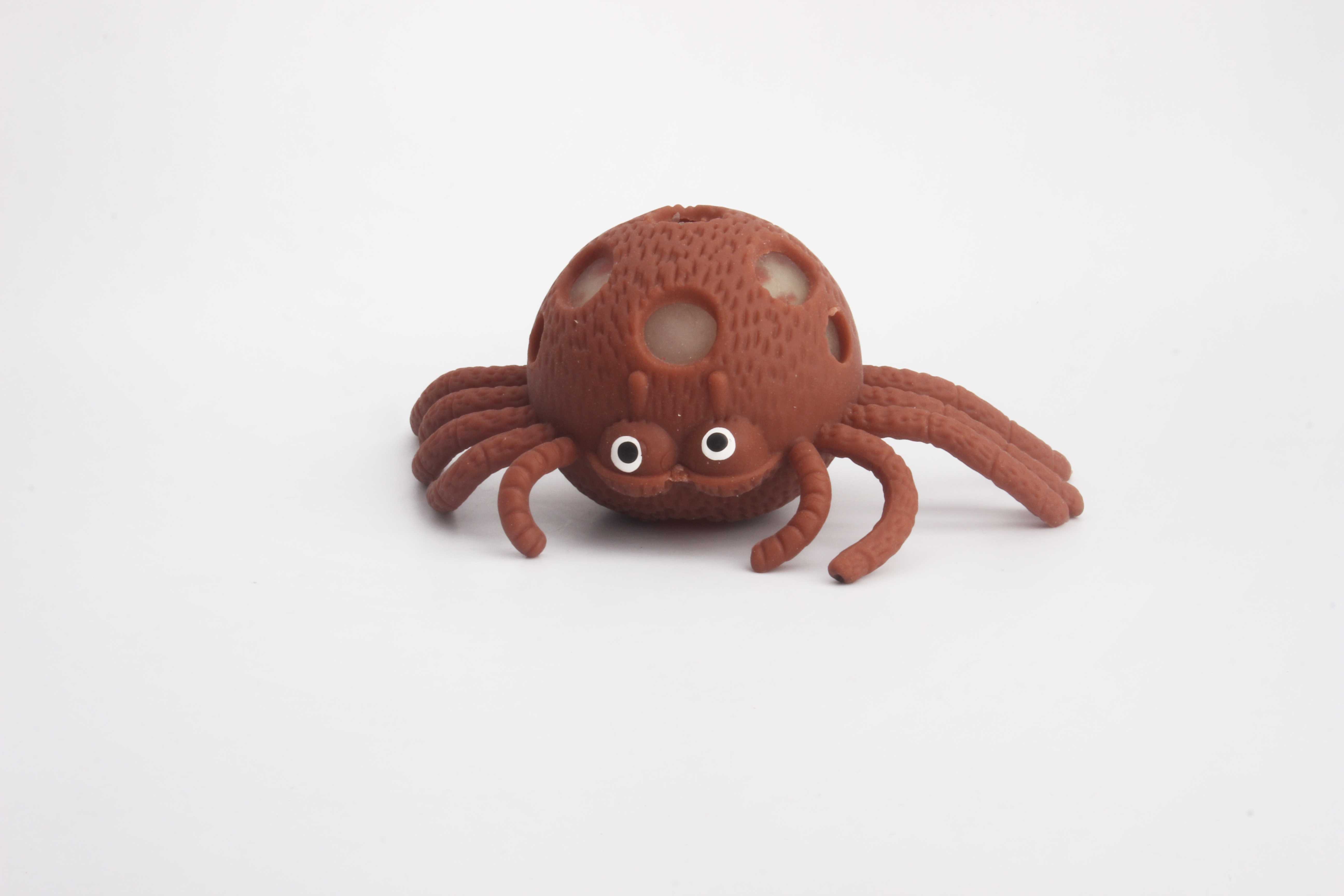 闪光蜘蛛-IMG_5185