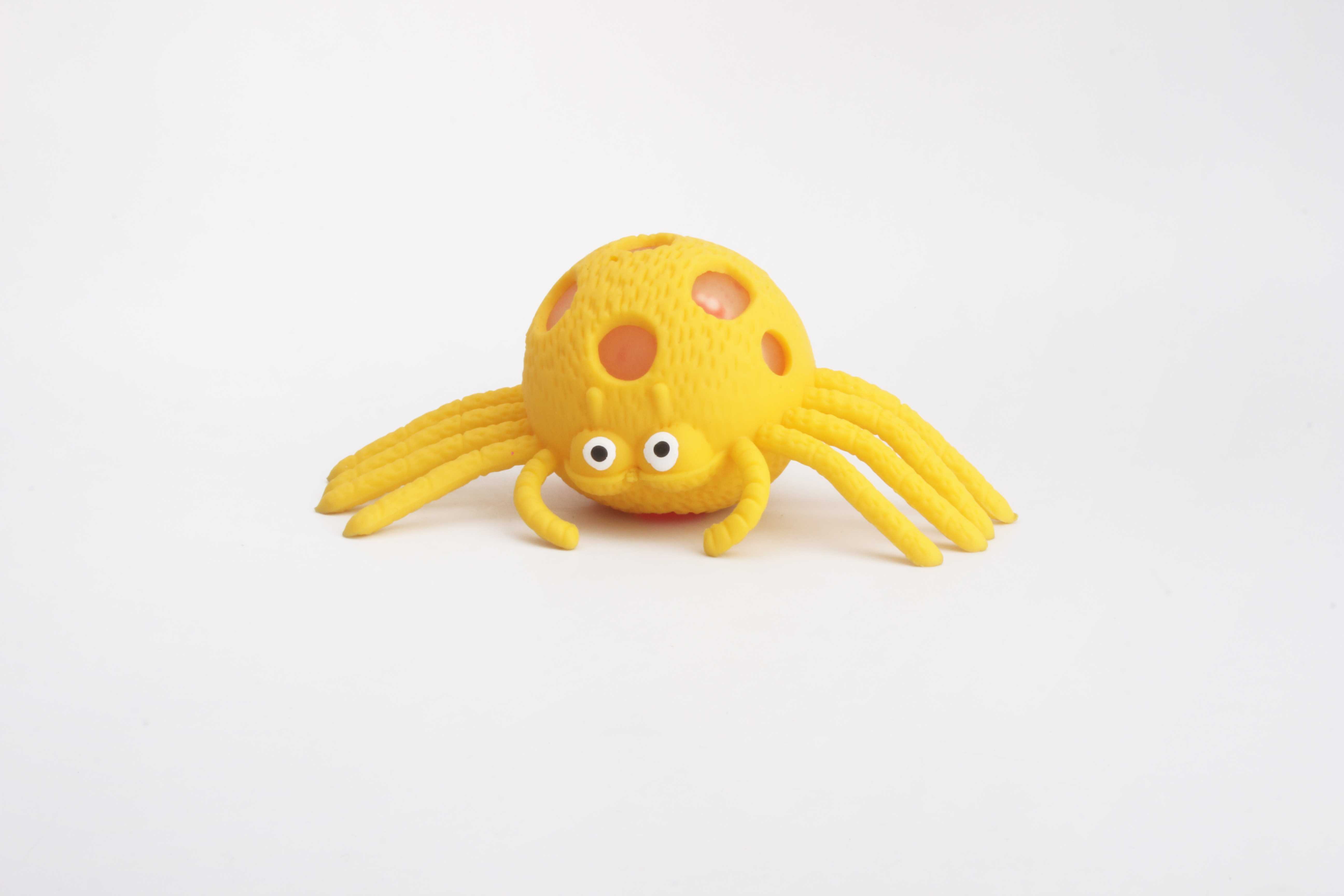 闪光蜘蛛-IMG_5186