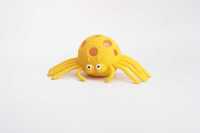 闪光蜘蛛-IMG_5186