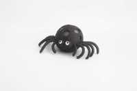 闪光蜘蛛-IMG_5188