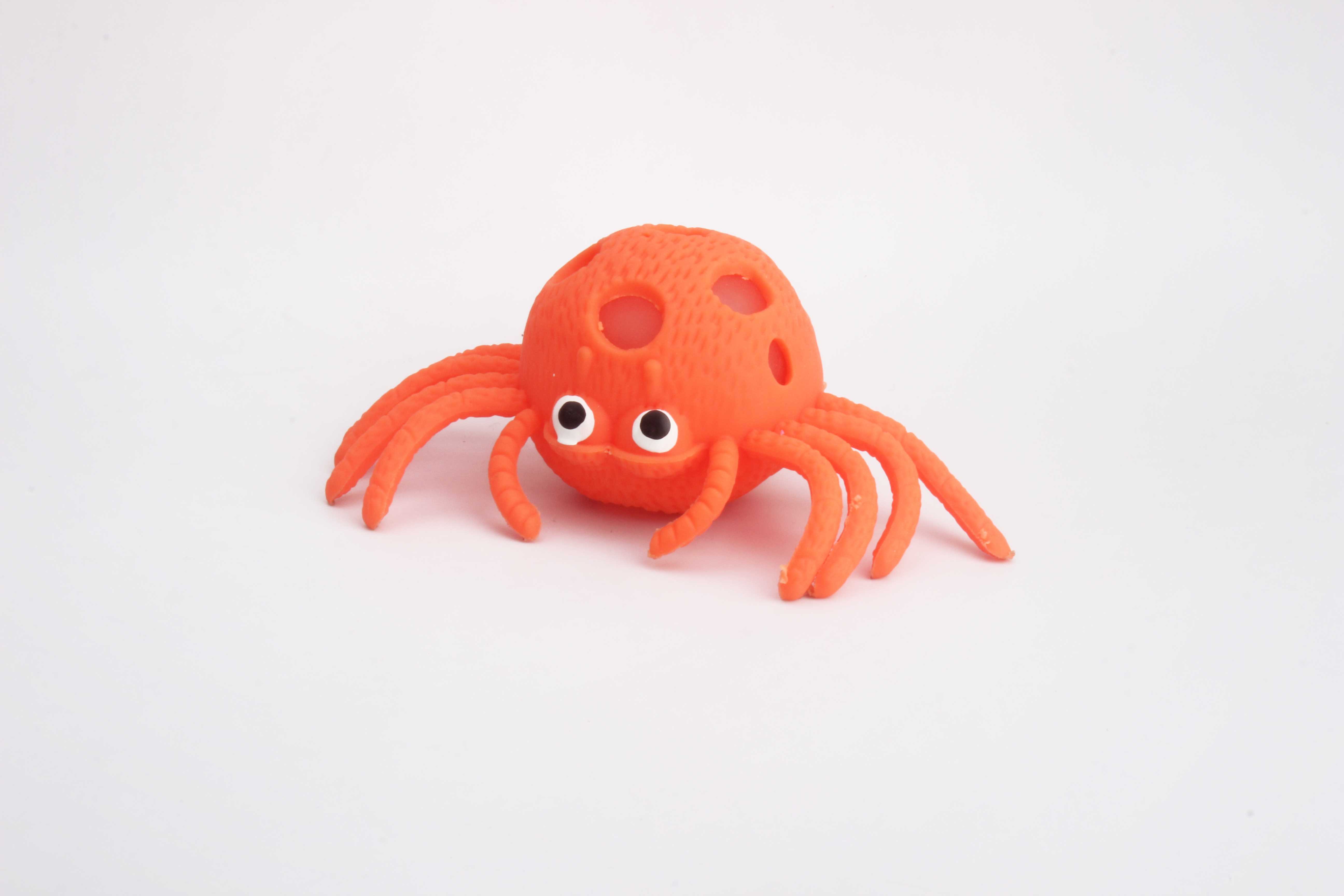 闪光蜘蛛-IMG_5189