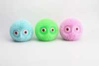 凸眼细毛球-IMG_5164