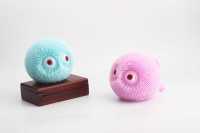 凸眼细毛球-IMG_5165