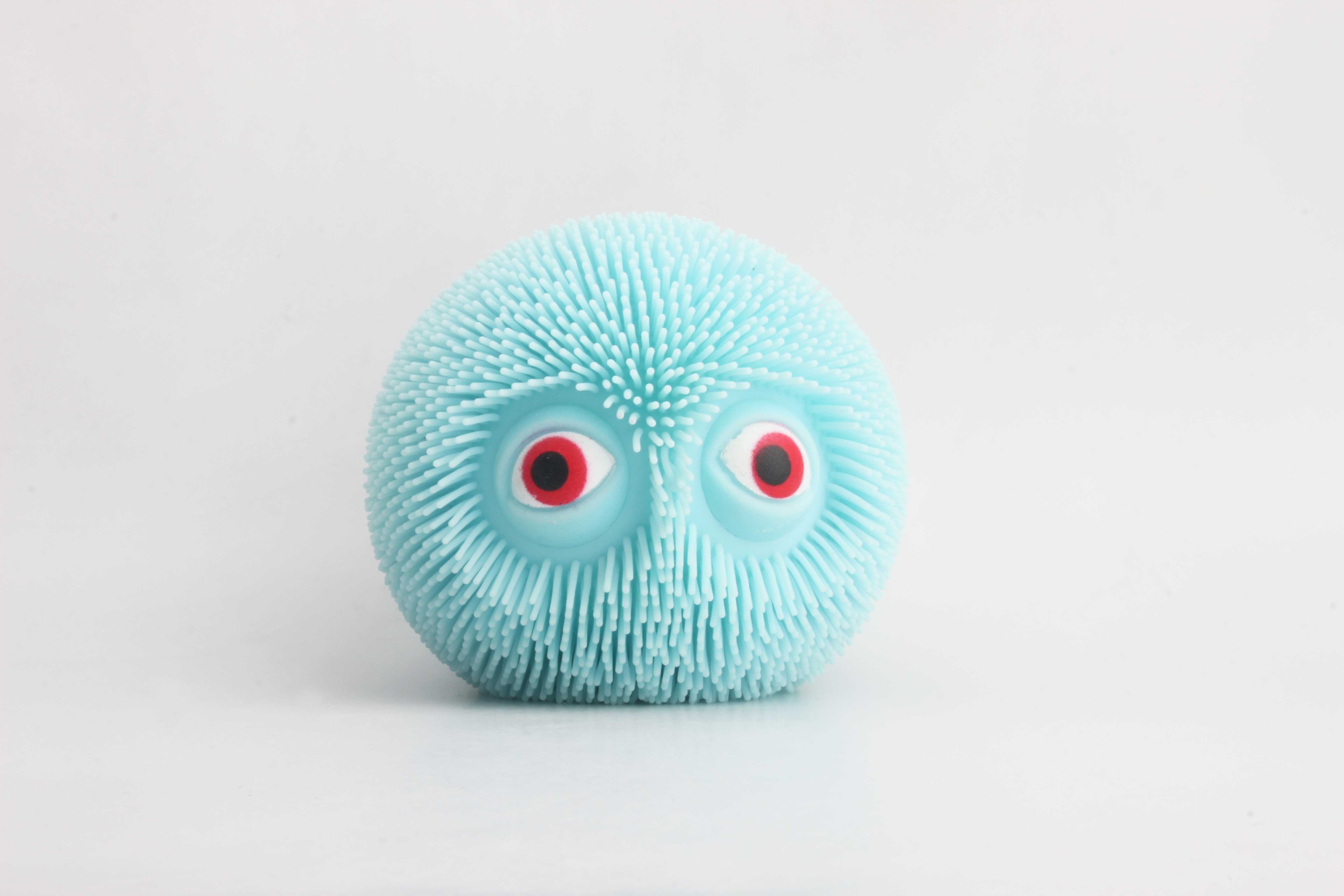 凸眼细毛球-IMG_5168