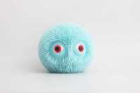 凸眼细毛球-IMG_5168