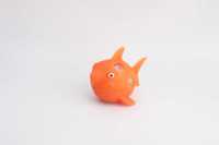 套皮小鲨鱼珠子-IMG_5298