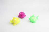 套皮小鲨鱼PVA-IMG_5287